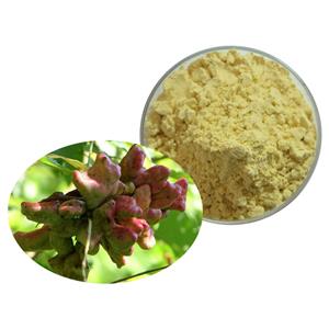 Ellagic acid; gallnut extract