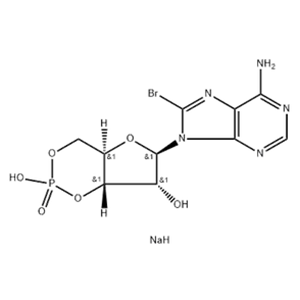  8-Bromo-cAMP sodium salt 