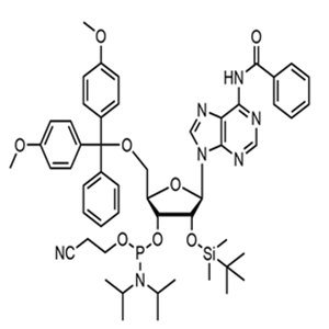 Bz-rA Phosphoramidite