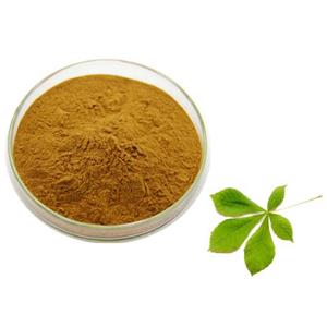 Escin; Horse chestnut extract