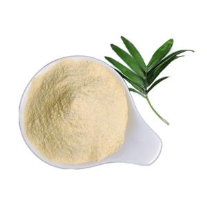 Xanthan gum