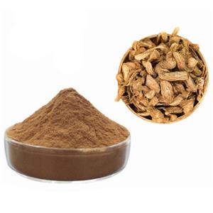 Burdok root P.E; Arctium lappa root extract