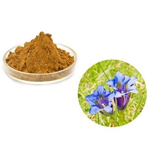 Gentiopicroside; Gentiana scabra Bunge extract