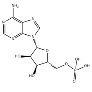 Adenosine 5'-monophosphate