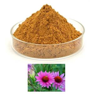 ECHINACEA HERB P.E.