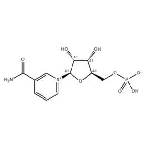 β-Nicotinamide Mononucleotide