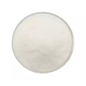 Lactobacillus Bulgaricus