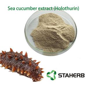 Sea cucumber extract (Holothurin)