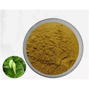 Gymnema sylvestre extract