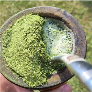 Yerba Mate extract powder; Instant Yerba Mate powder