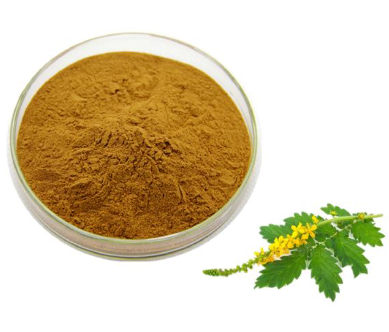 Agrimory Extract