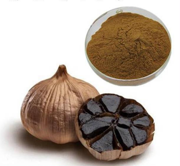 Black garlic extract