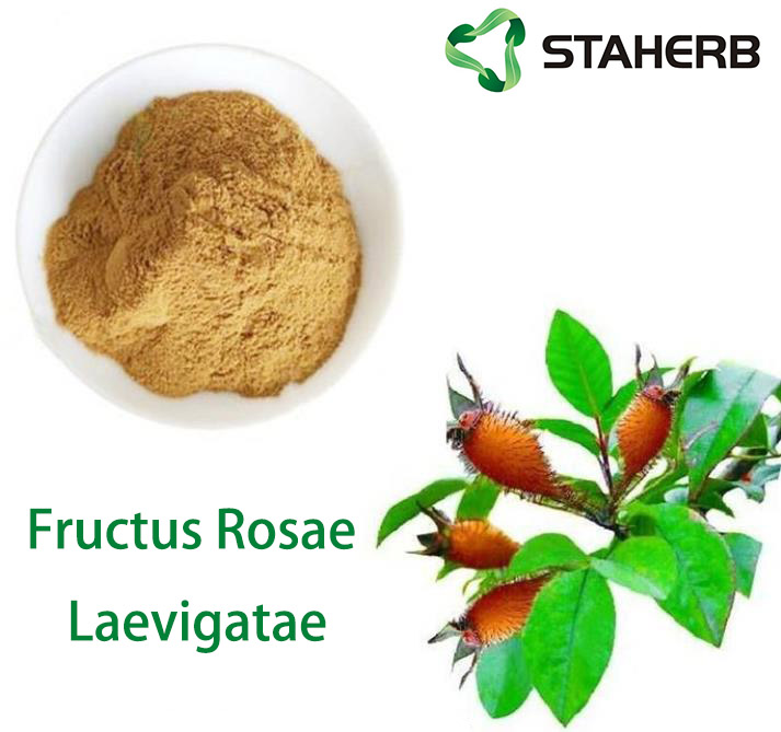 Fructus Rosae Laevigatae