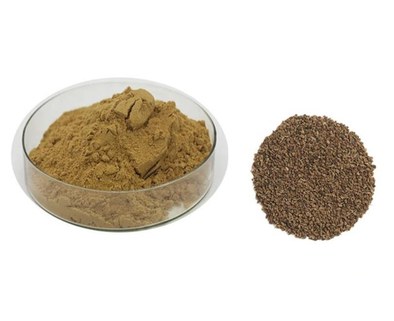 CELERY SEED EXTRACT