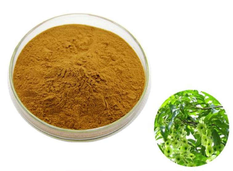 Cyclocarya paliurus extract