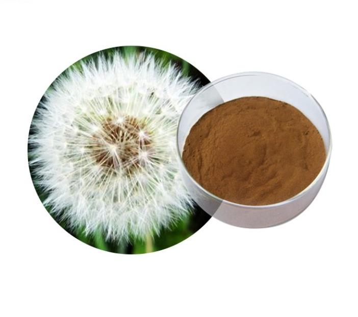 Dandelion extract flavonoids