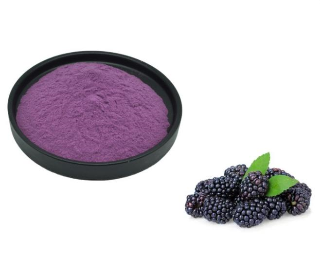 Mulberry powder;Mulberry Extract