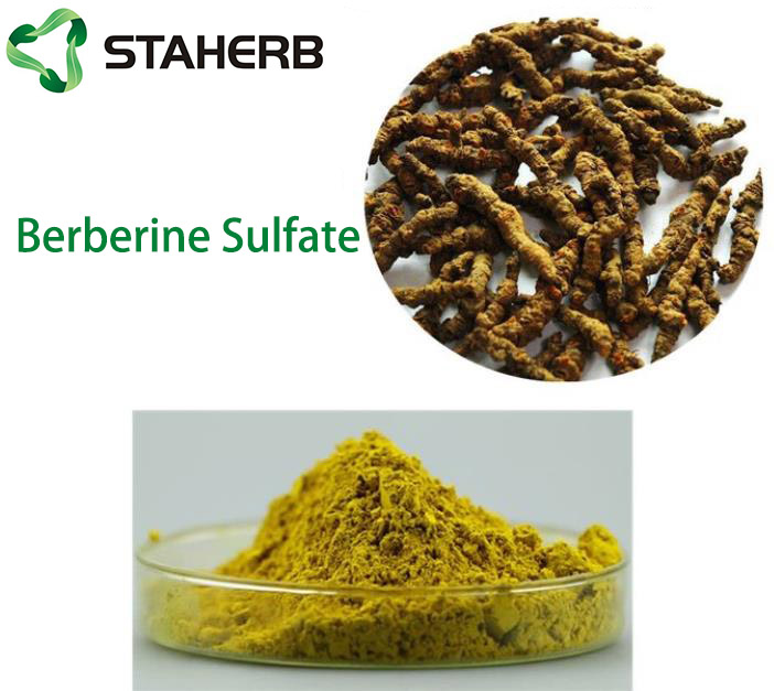 BERBERINE SULFATE TRIHYDRATE