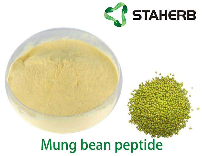 Mung bean peptide