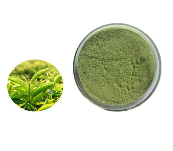 Green tea powder; Instant green tea powder