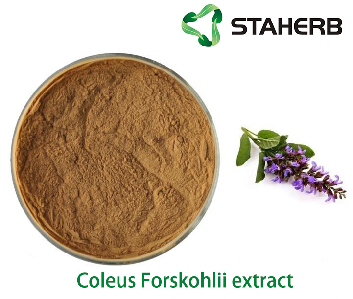 Coleus Forskohlii extract