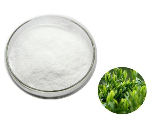 Green Tea Extract; (-)-Epigallocatechin gallate EGCG