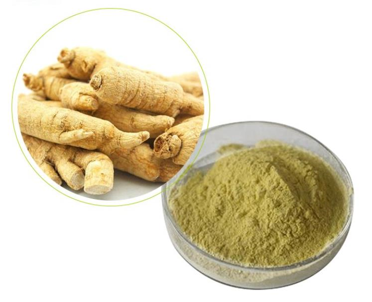 Panax Ginseng extract