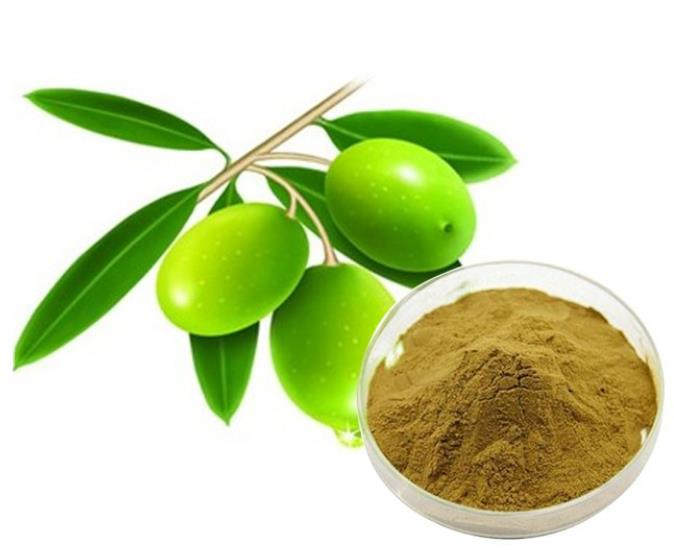 Olive leaf extract