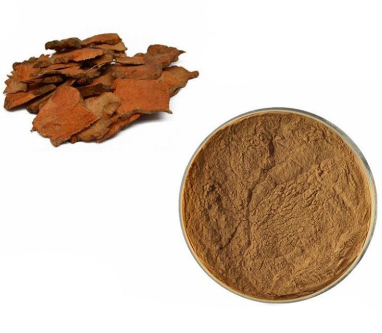 Smilax root extract; Smilax china root extract