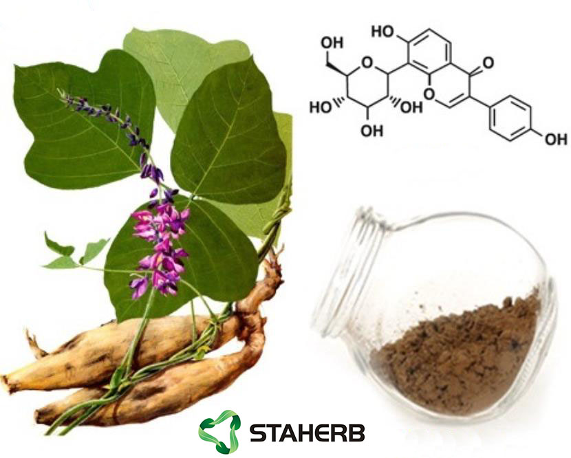 Radix Puerariae Extract; Pueraria Mirifica extract