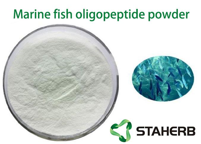 Marine fish oligopeptide powder