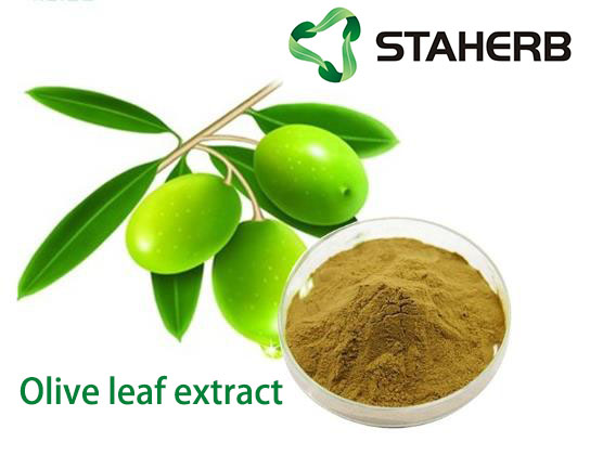 Olive leaf extract