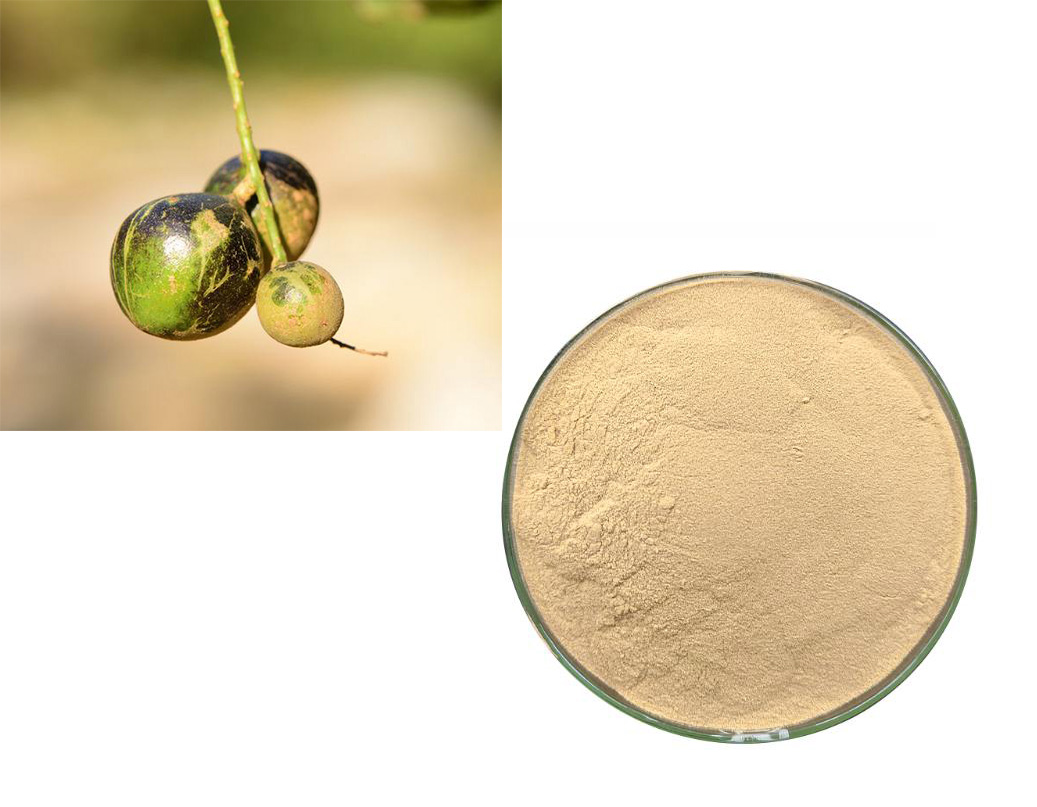 Helicid; Helicia nilagirica extract