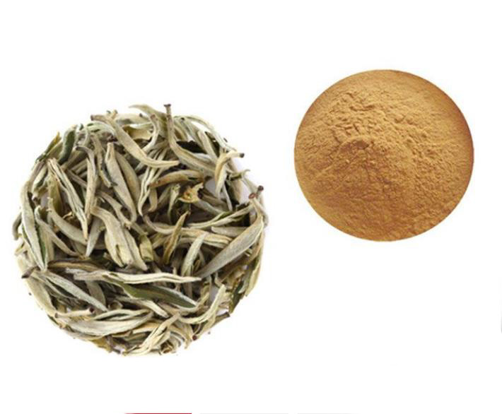 White tea powder; Instant white tea powder