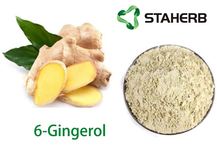 6-Gingerol