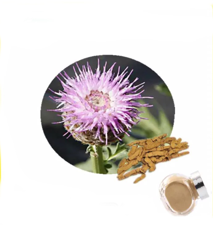 Maral Root Extract