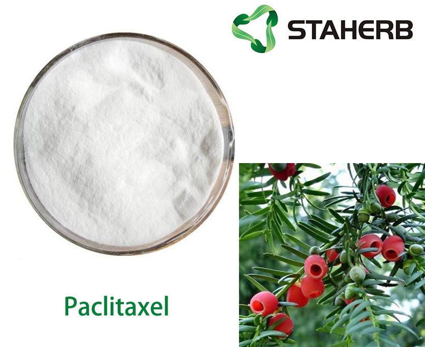 Paclitaxel