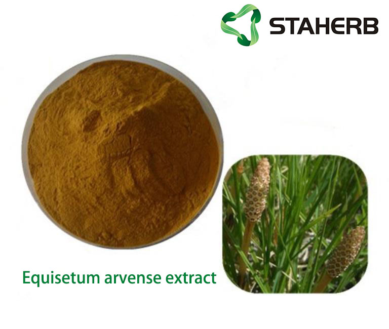 Equisetum arvense extract