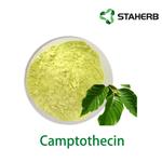 (+)-Camptothecin