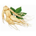 (20S)-Protopanaxatriol APPT；Panax Ginseng extract 