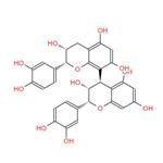 PROCYANIDIN B2; Grape seed extract