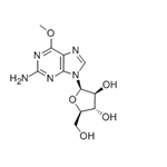 Nelarabine