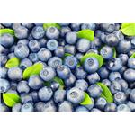 Blueberry freeze-dried powder