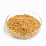 Maca Root Extract