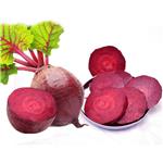 BETANIN; Red beet extract