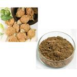 Maca extract powder