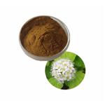 Meadowsweet Extract