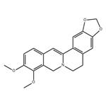 Dihydroberberine