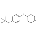  4-[4-(trifluoromethoxy)phenoxy]piperidine