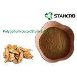 Polygonum cuspidatum extract